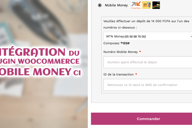 Voici comment intégrer le plugin WooCommerce Mobile Money CI, développé par Nehemie Koffi
